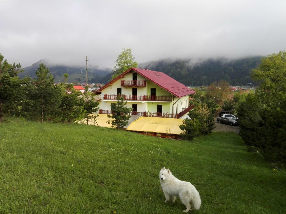Grandemi Belvedere Bucovina Frasin Buitenkant foto